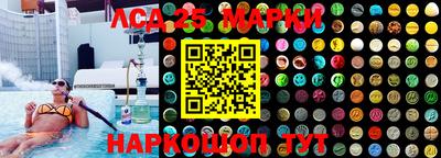 гидропоника Славгород