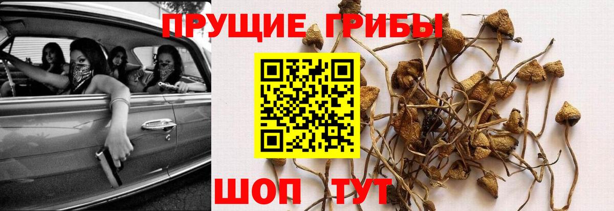 Канабис  Вход с VPN  ГАШ  Экстази  МЕФ кристаллы  Сколько стоит  ТГК  Нягань  Кокаин 