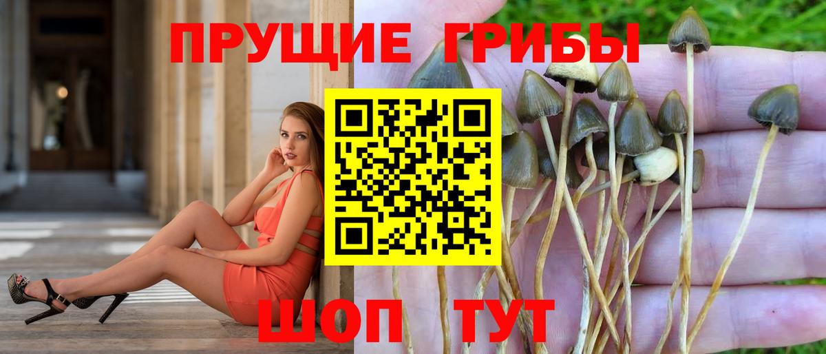 Галлюциногенные грибы мухоморы  Галлюциногенные грибы Psilocybe  Вход с VPN  Нягань 